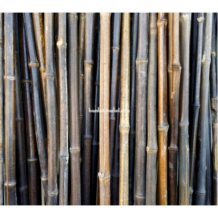 Бамбуковый ствол,  Ø1,8-2см, L 2м, черный, СОРТ 2 - фото 1