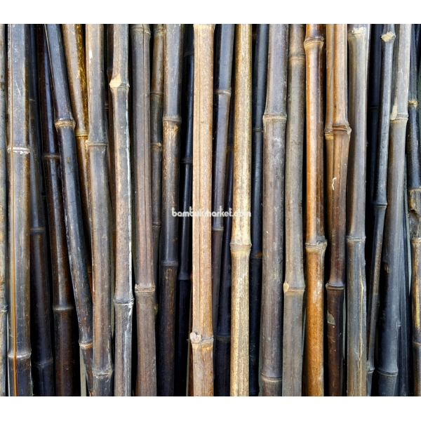 Бамбуковый ствол,  Ø1,8-2см, L 2м, черный, СОРТ 2 – фото 1