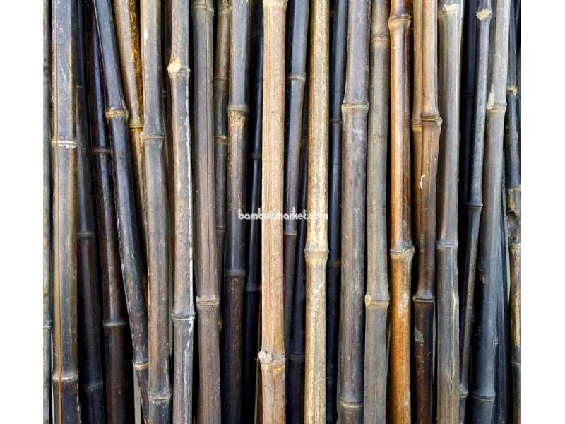 Бамбуковый ствол,  Ø1,8-2см, L 2м, черный, СОРТ 2