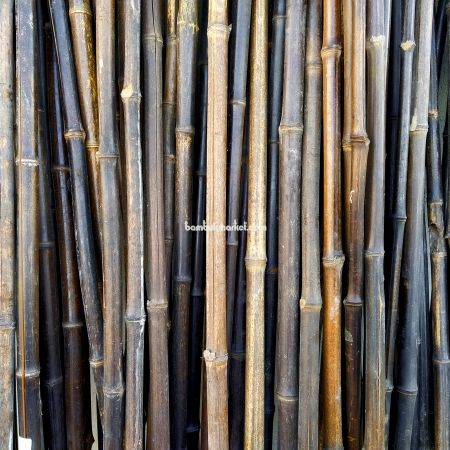 Бамбуковый ствол,  Ø1,8-2см, L 2м, черный, СОРТ 2 - фото 1