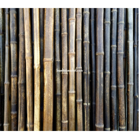 Бамбуковый ствол,  Ø2-3см, L 2м, черный, СОРТ 2 - фото 1