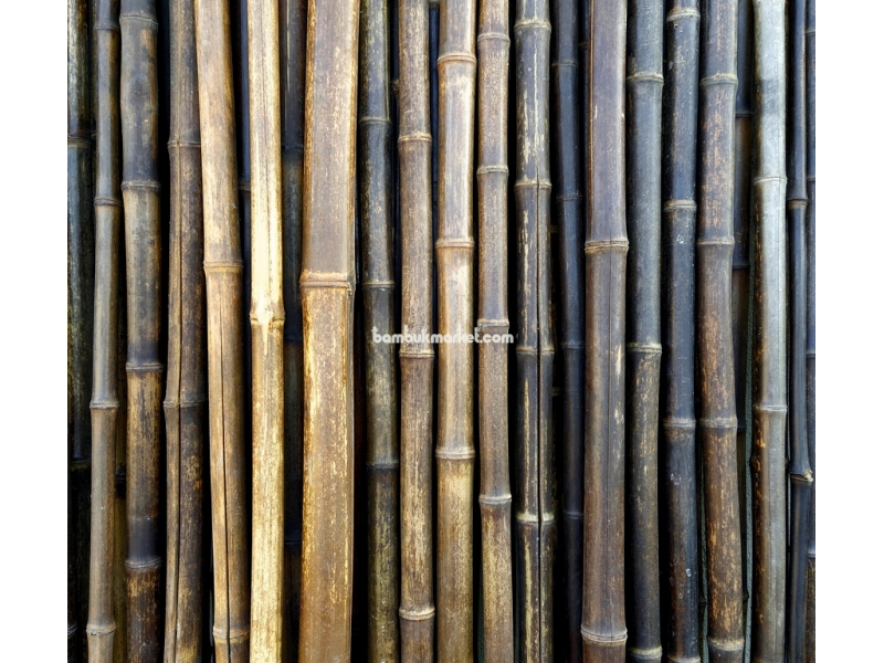 Бамбуковый ствол,  Ø2-3см, L 2м, черный, СОРТ 2