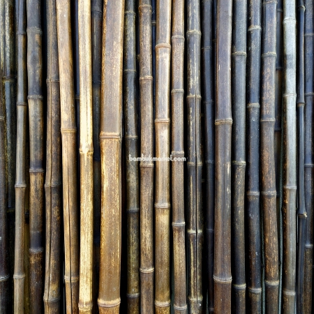 Бамбуковый ствол,  Ø2-3см, L 2м, черный, СОРТ 2 - фото 1