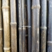 Бамбуковый ствол,  Ø2-3см, L 2м, черный, СОРТ 2 – фото 5