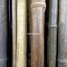 Бамбуковый ствол,  Ø2-3см, L 2м, черный, СОРТ 2 – фото 7