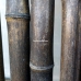 Бамбуковый ствол,  Ø3-4см, L 3м, черный, СОРТ 2 – фото 5