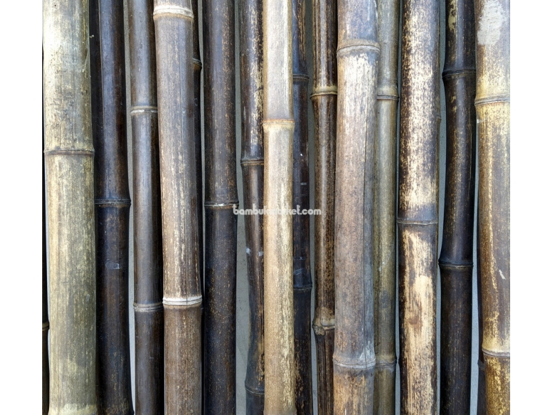 Бамбуковый ствол,  Ø3-4см, L 3м, черный, СОРТ 2