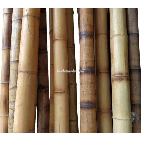 Бамбуковый ствол,  Ø7-8см, L 3м, обожженный, СОРТ 2 - фото 1