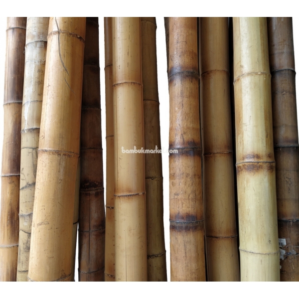 Бамбуковый ствол,  Ø7-8см, L 3м, обожженный, СОРТ 2 – фото 15