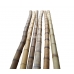 Бамбуковый ствол,  Ø7-8см, L 3м, обожженный, СОРТ 2 – фото 7