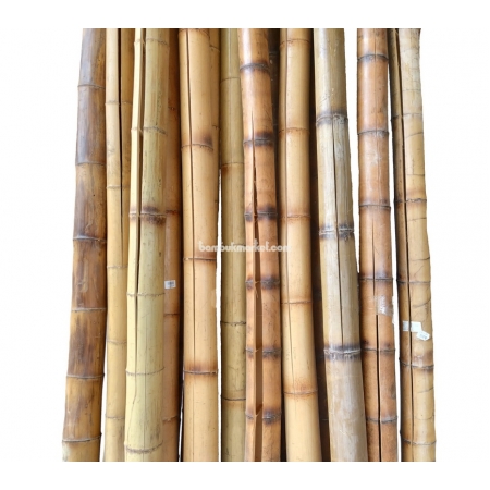Бамбуковый ствол,  Ø5-6см, L 3м, обожженный, СОРТ 2 - фото 1