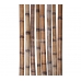 Бамбуковый ствол,  Ø7-8см, L 3м, обожженный, СОРТ 2 – фото 2