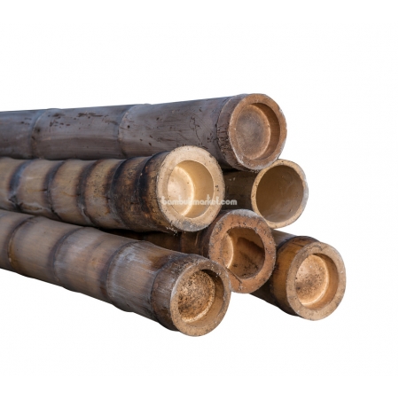 Бамбуковый ствол,  Ø9-10см, L 3м, обожженный - фото 1