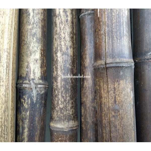 Бамбуковый ствол,  Ø5-6см, L 3м, черный, СОРТ 2 – фото 8