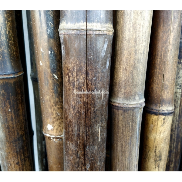 Бамбуковый ствол,  Ø6-7см, L 4м, черный, СОРТ 2 – фото 10