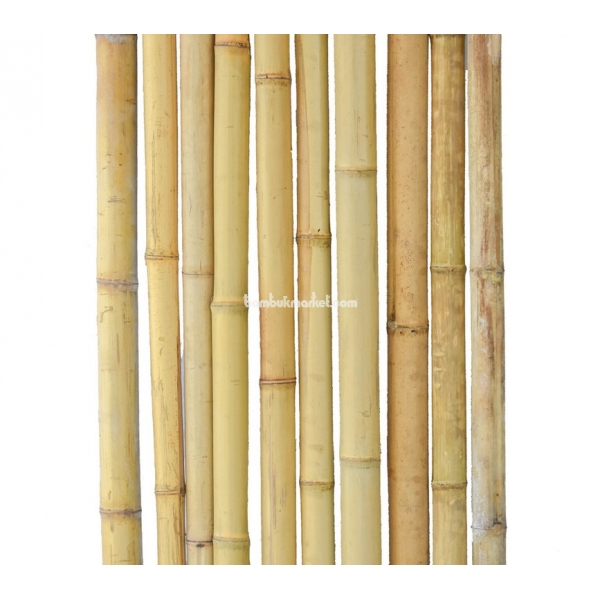 Бамбуковый ствол,  Ø5-6см, L 3м, натуральный, СОРТ 2 – фото 7