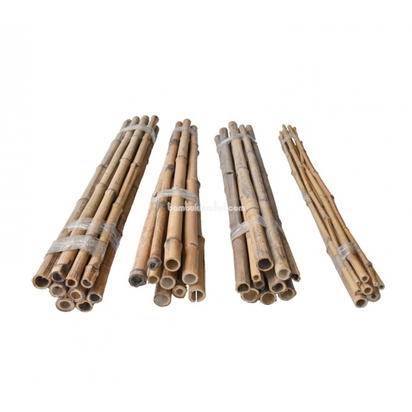 Бамбуковый ствол для подвязки, упак. 10шт, Øдо 30мм, L 1,0м, СОРТ 2 – фото 7