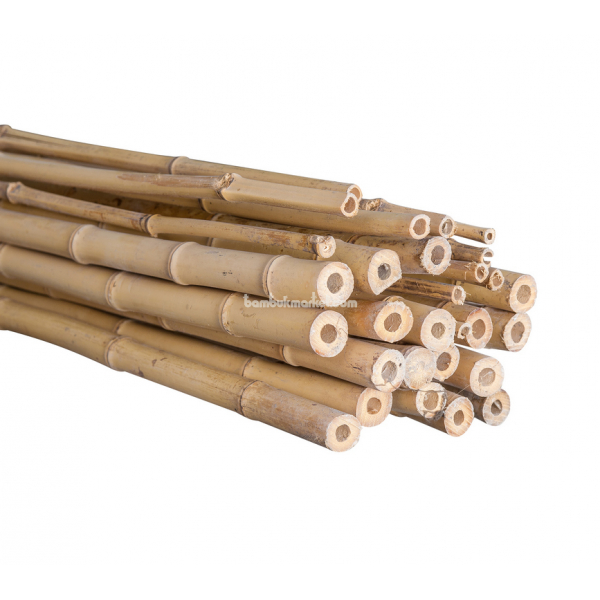 Бамбуковый ствол,  Ø2-3см, L 2м, декоративный – фото 13