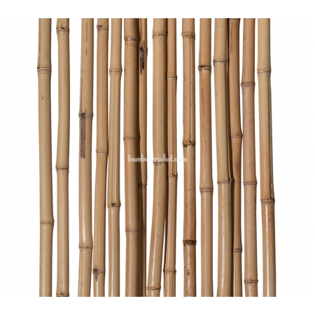 Бамбуковый ствол,  Ø2-3см, L 2м, декоративный, СОРТ 2 - фото 1