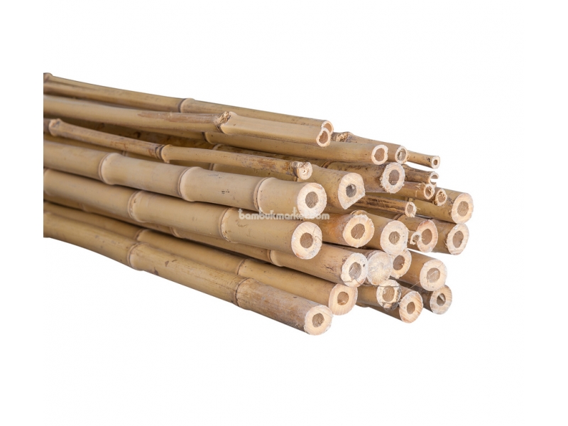 Бамбуковый ствол,  Ø2,5-3см, L 4м, декоративный