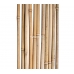 Бамбуковый ствол для подвязки, Ø12-14мм, L 1,5м – фото 3