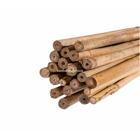 Бамбуковый ствол для подвязки, Ø16-18мм, L 1,5м - фото 1