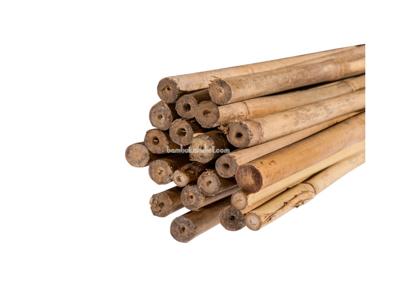 Бамбуковый ствол для подвязки, Ø14-16мм, L 1,5м – фото 4