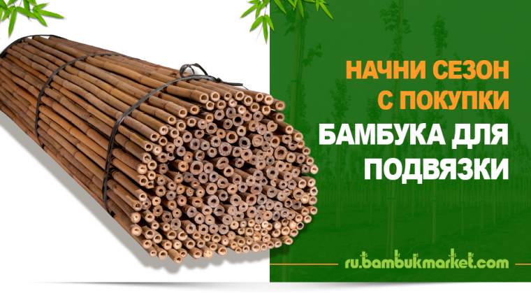 Бамбук для подвязки саженцев