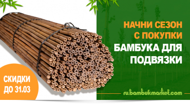Бамбук для подвязки саженцев - скидки до 31.03