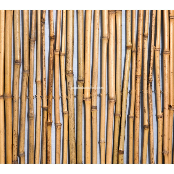  Бамбуковый забор, 6х1,5 м – фото 8