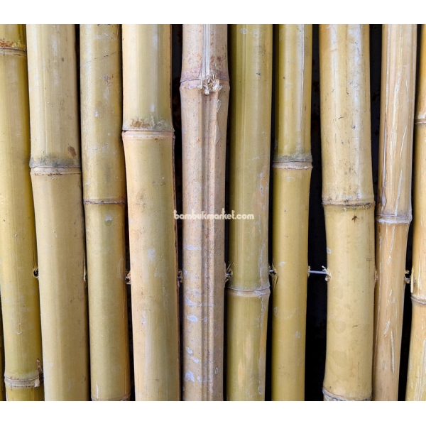  Бамбуковый забор, 3х2  м – фото 6